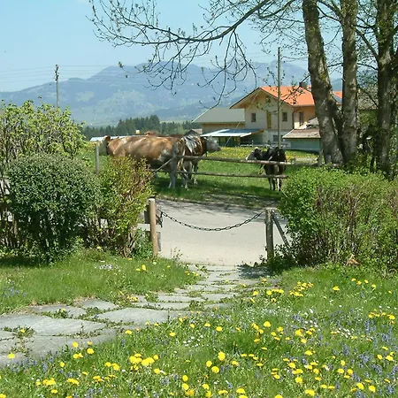 Ferienhaus Riss Bolsterlang Værelse billede