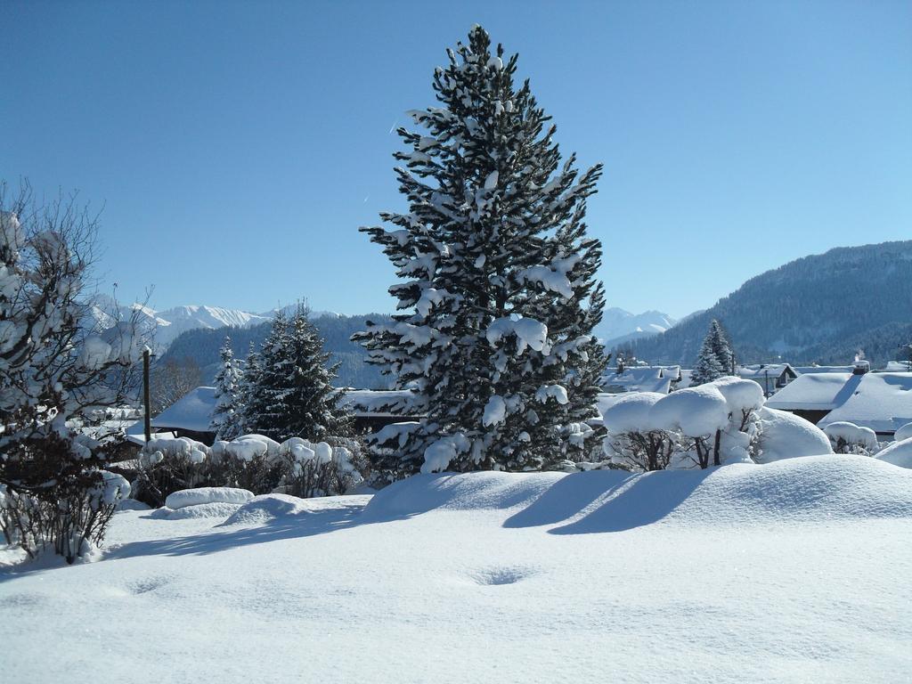 Riss Apartment Bolsterlang